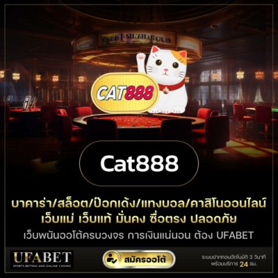 cat888