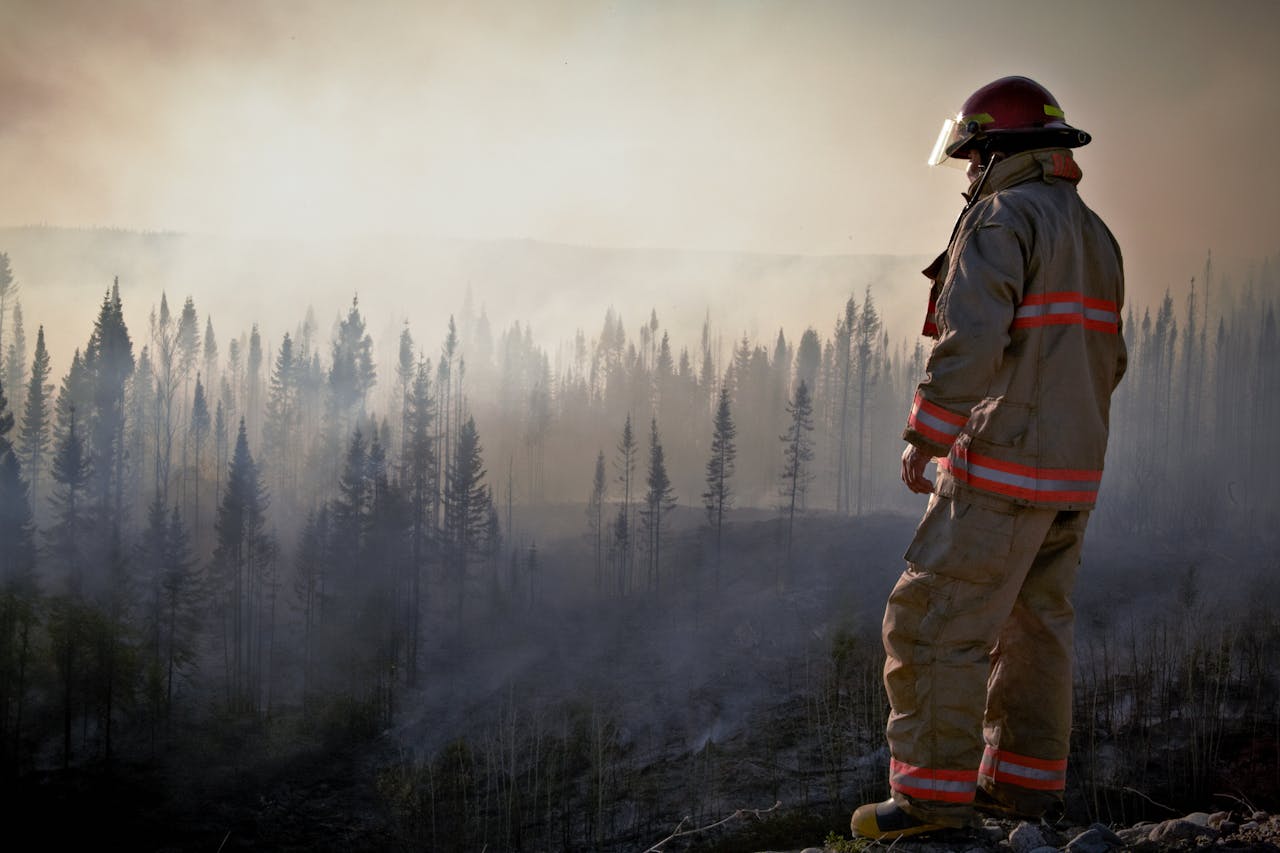 A firefighter in uniform surveys the aftermath of a forest fire with smoke rising through the trees.