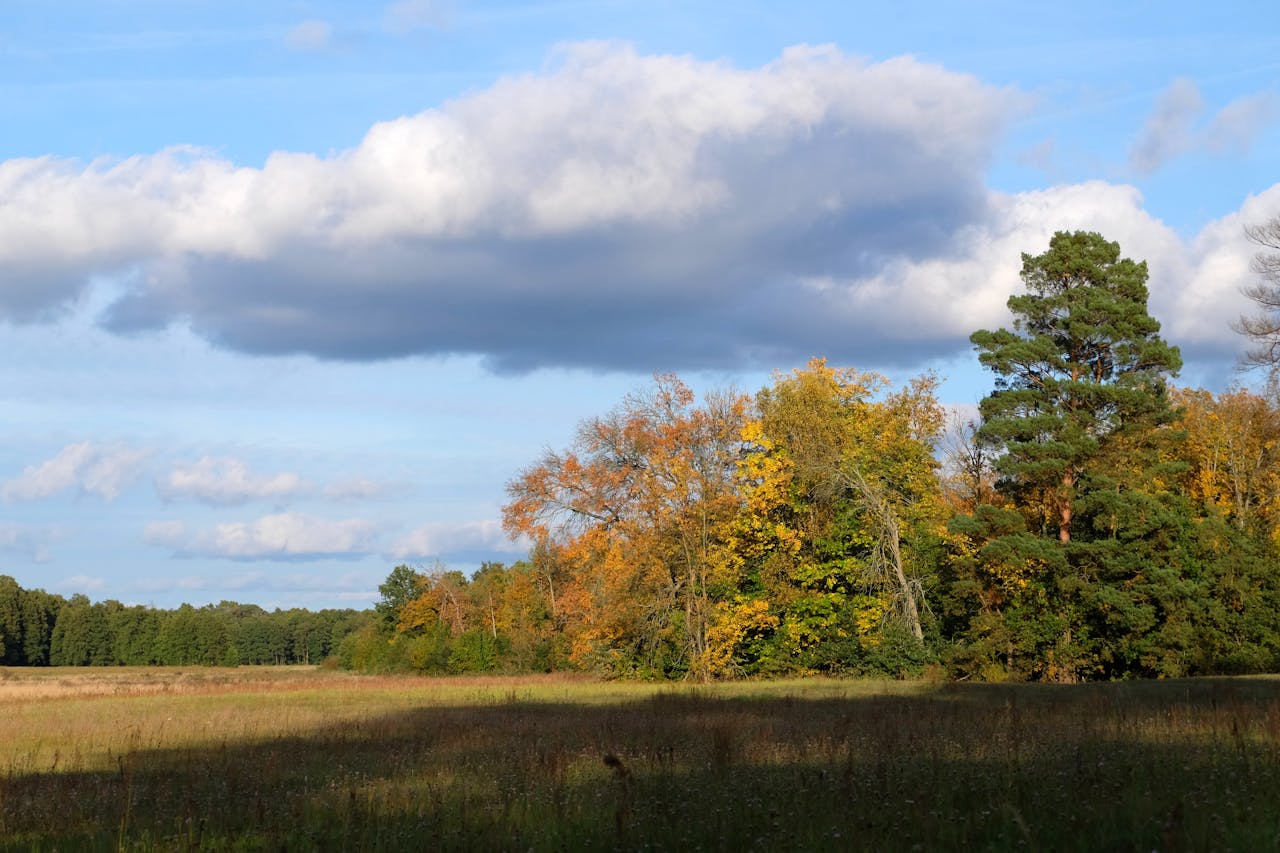 Serene autumn landscape in Warsaw's countryside with vibrant tree colors under a cloudy sky.