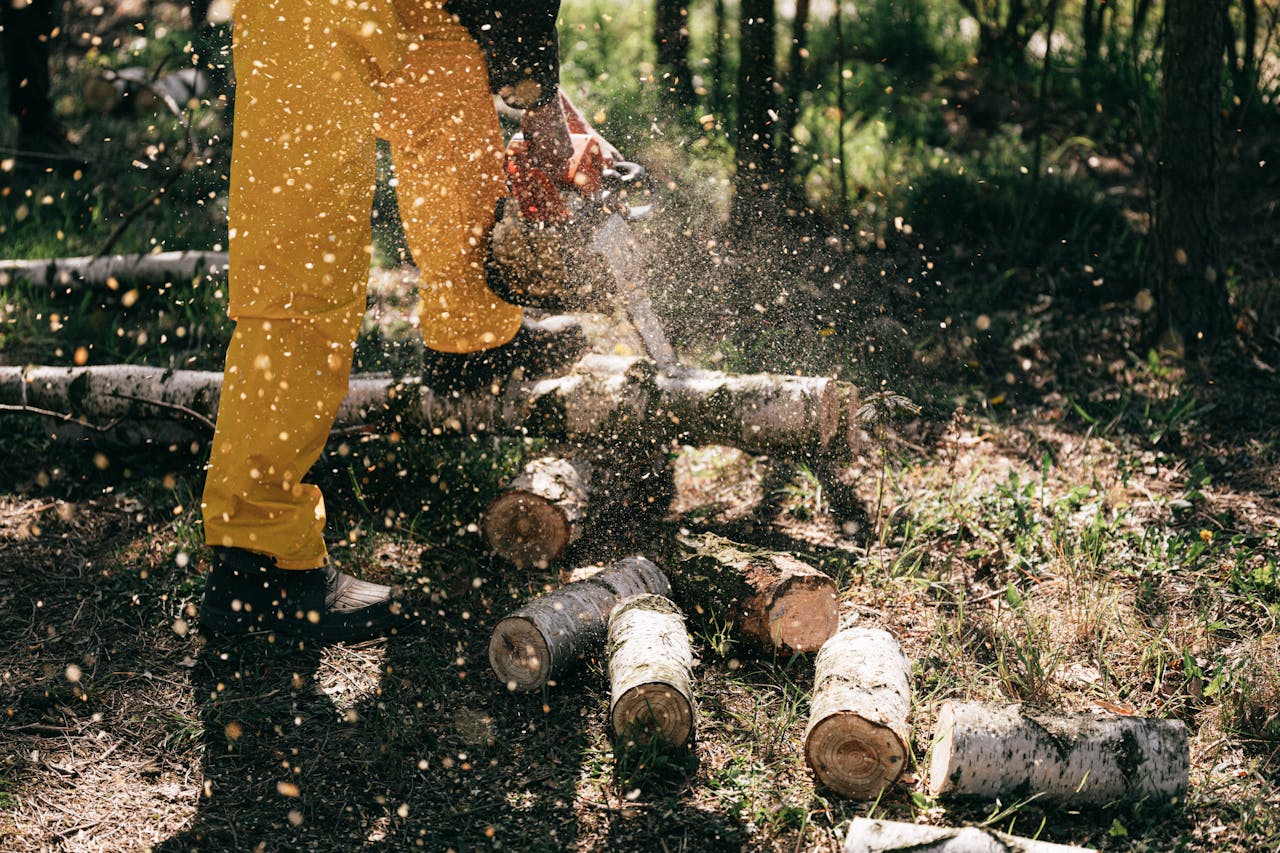Lumberjack using a chainsaw to cut logs, creating sawdust in a forest setting. Action-packed forestry scene.