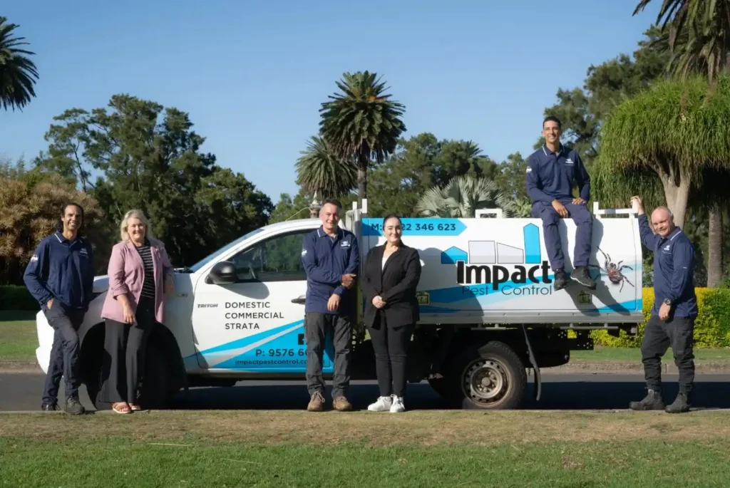 Cheap pest control Sydney