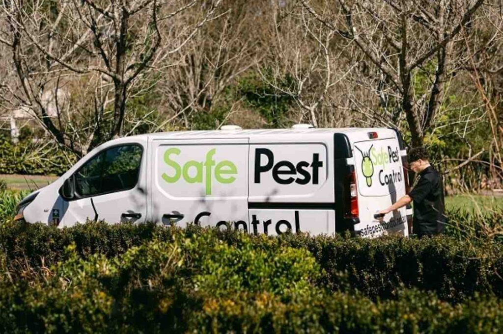 Cheap pest control Sydney