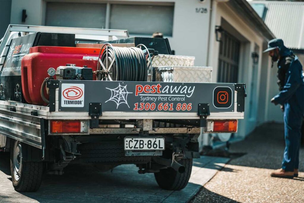 Cheap pest control Sydney