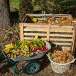 Managing Garden Waste in Sydney
