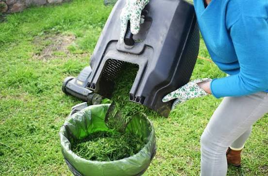 Managing Garden Waste in Sydney
