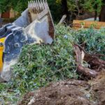 Tree Removal Inner West: A Local Guide for Sydney Properties