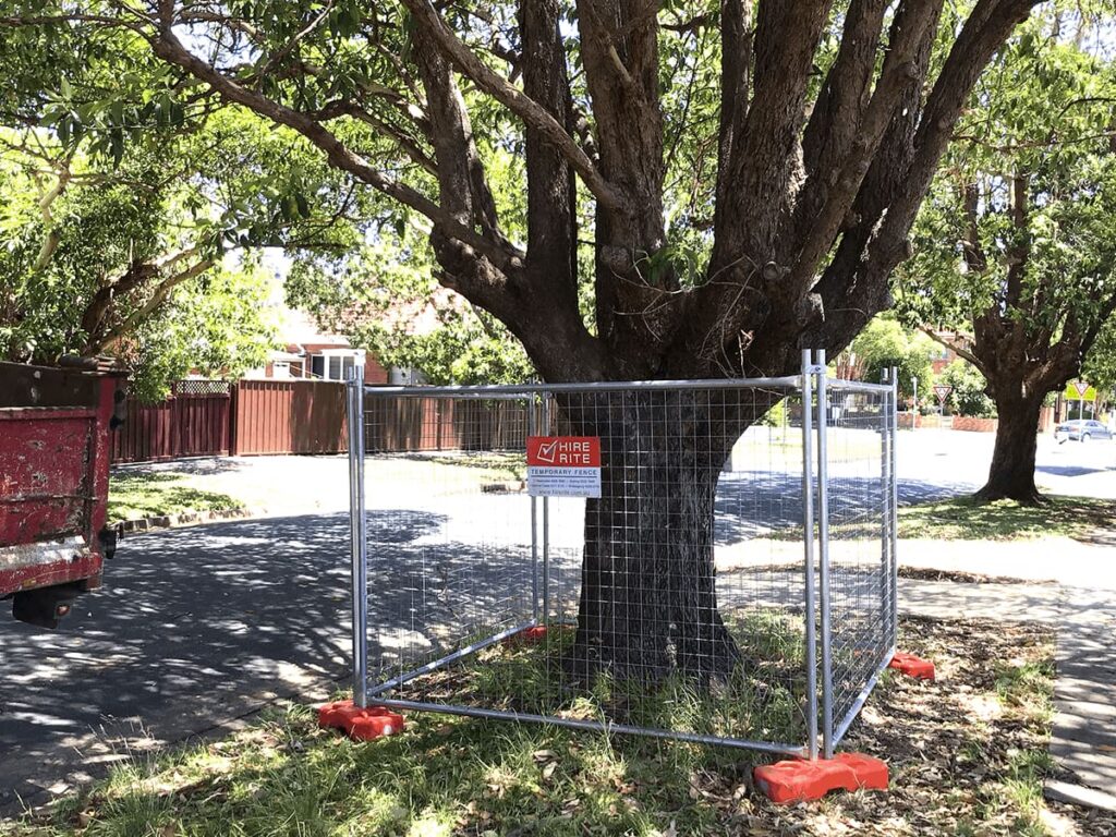 Tree Removal Cost Sydney: A Practical Price Guide