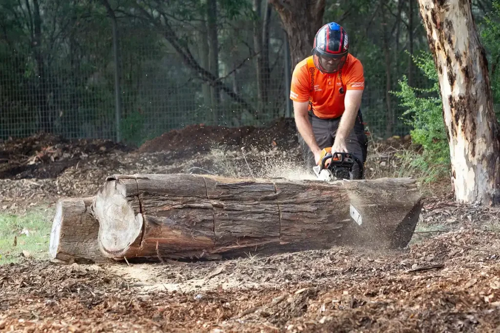 Tree Cutting Services