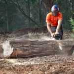 Tree Cutting Services