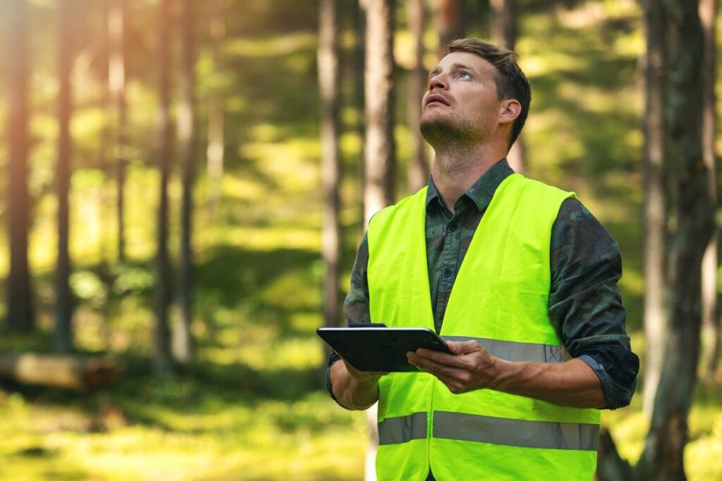 Tree Removal Cost Sydney: A Practical Price Guide

