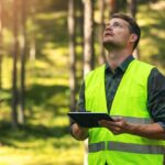 tree pruning eastern suburbs